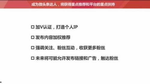 头条涨粉有什么意义,打造个人品牌，拓展人脉的秘诀