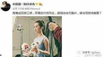 娱乐吃瓜刘诗诗,娱乐圈的甜蜜瓜果，甜蜜人生